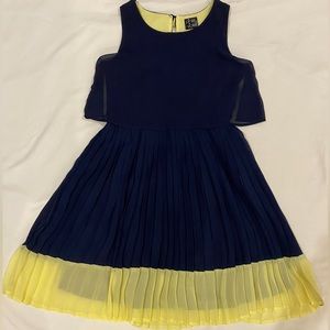 Blue and Yellow Pleated Dress